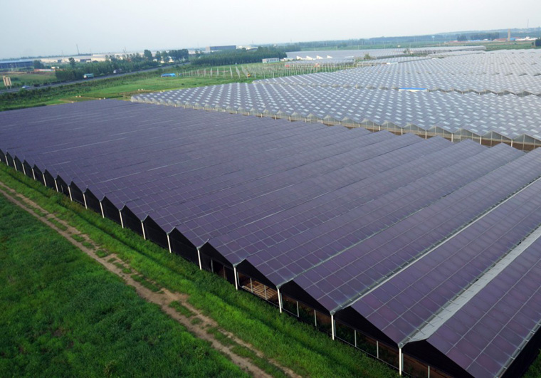 養殖大棚光伏項目申請流程 養殖大棚光伏項目申請流程